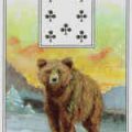 Niedźwiedź - karta Lenormand - wróżka Ksymena