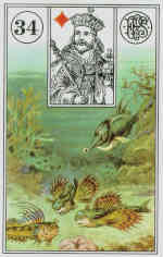 Ryby - karta Lenormand - wróżka Ksymena